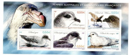 Delcampe - (Timbres). TAAF FSAT Bloc Feuillet N°22. Petrel Oiseaux 2009 - Blocks & Sheetlets