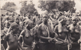 Delcampe - POSTCARD AFRICA - ANGOLA - CONGO PORTUGUÊS - CENA DE BATUQUE INDIGENA - MACOLO - ETHNIC - Angola