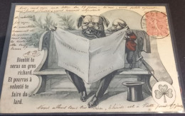 Delcampe - Bientôt Tu Seras Un Gros Richard Et Pourras à Volonté Te Faire Du Lard - Dressed Animals