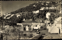 Delcampe - CPA Granada Andalusien Spanien, Cuevas De Gitanos, Vista Parcial - Sonstige & Ohne Zuordnung