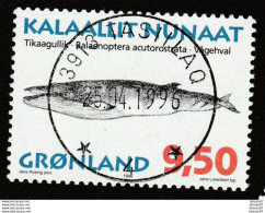 Delcampe - Baleine De Minke - Y&T 271 -  Oblitéré - GROENLAND - Gebraucht
