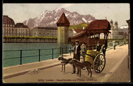 Delcampe - AK Luzern, Kapellbrücke U. Pilatus, Hundegespann - Luzern