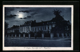 Delcampe - AK Velka Selvjus, Zupanský úrad, Megyeháza - Ukraine