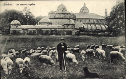 Delcampe - CPA Laeken Brüssel Brüssel, Die Königlichen Dienste - Brüssel (Stadt)