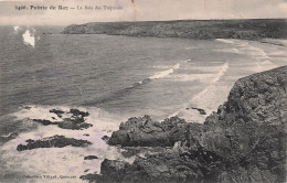 Delcampe - 29 PLOGOFF POINTE DU RAZ LA BAIE DES TREPASSES - Plogoff