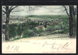 Delcampe - AK Schwalbach, Blick Vom Beutelstein Zum Ort - Bad Schwalbach