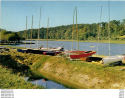 Delcampe - Tuffé - Tuffe