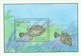 Delcampe - GRENADA 1990 - Poissons I - BF (Lachtophrys Triqueter) - Fische