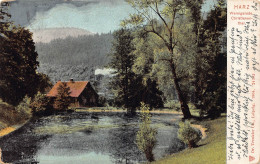 Delcampe - Germany 1908 Harz Wernigerode Christianenthal Lake Vintage Postcard - Wernigerode