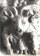 Delcampe - 13-ARLES-N°C4103-D/0283 - Arles