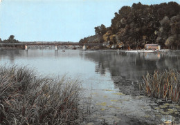 Delcampe - 89-MIGENNES-N°C4103-D/0273 - Migennes