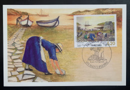 Delcampe - Carte Maxi  2000 Saint-Pierre-et-Miquelon  Les Graves Le 9/02/2000 - Maximumkarten