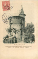 Delcampe - 95* ARGENTEUIL Moulin D ORGEMONT          RL10.1354 - Argenteuil