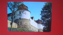 Delcampe - Brezice-grad. - Slowenien