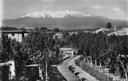 Delcampe - 66-PERPIGNAN-N°T2978-C/0223 - Perpignan