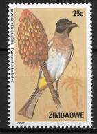 Delcampe - Zimbabwe - MNH ** 1992 :   Common Bulbul  -  Pycnonotus Barbatus - Passereaux