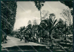 Delcampe - Siracusa Noto STRAPPO Foto FG Cartolina ZK1057 - Siracusa