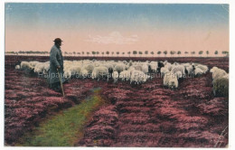 Delcampe - Lüneburger Heide Feldpost Rekruten Depot Aurich An MENßEN Gabens Esens Buttforde - Aurich