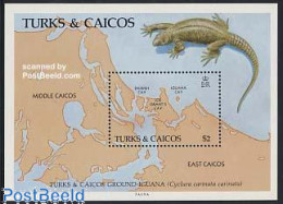 Delcampe - Turks And Caicos Islands 1986 Nature Conservation S/s, Mint NH, Nature - Various - Reptiles - Maps - Geografia