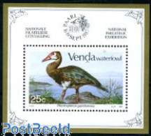 Delcampe - South Africa, Venda 1987 Water Birds S/s, Mint NH, Nature - Birds - Geese - Venda