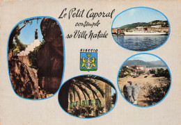 Delcampe - 2A AJACCIO SOUVENIR D AJACCIO - Ajaccio