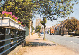 Delcampe - 59-WORMHOUT-N°531-C/0229 - Wormhout