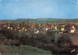 Delcampe - 57-FREYMING MERLEBACH-N°531-B/0299 - Freyming Merlebach