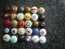 Delcampe - Muselets De Champagne 30 Divers Pas De Double Lot N° 16 - Collections
