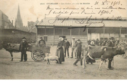 Delcampe - COTES D'ARMOR   GUINGAMP   Les Halles Un Jour De Marché - Guingamp
