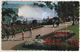 Delcampe - AK 264899 CANADA - Niagara Falls - Niagarafälle