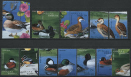 Delcampe - Antigua + Barbuda Postfrisch /MNH Fauna Vögel Birds - Entenvögel