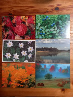 Delcampe - 6X NATURE POSTCARDS From FINLAND Unused - Finnland