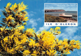 Delcampe - 17 ILE D' OLERON Le Viaduc Par Campenon Bernard édition Artaud N° 8 \ML4006 - Ile D'Oléron