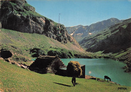 Delcampe - 64-PAU-CENTRE-N°7018-D/0231 - Pau