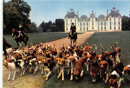 Delcampe - 41-CHEVERNY-N°1015-C/0105 - Cheverny