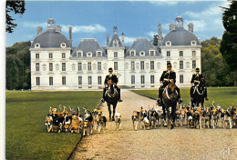 Delcampe - 41-CHEVERNY-N°1015-C/0101 - Cheverny