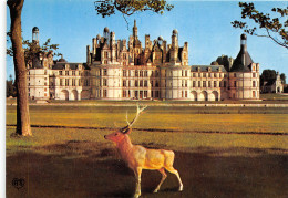 Delcampe - 41-CHAMBORD-N°1015-C/0089 - Chambord