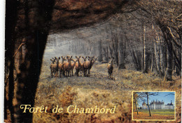 Delcampe - 41-CHAMBORD-N°1015-C/0095 - Chambord