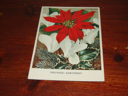 Delcampe - 92847-  BLOEMEN / FLOWERS / BLUMEN / FLEURS / FIORI / FLORES - Blumen