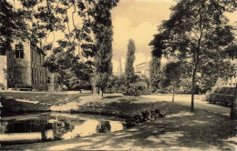 Delcampe - [-15%] BELGIQUE - St Niklaas Waas - Stadspark - Prévot - Jardin - Arbre - Cygne - étang - Plante - Carte Postale Ancienn - Sint-Niklaas