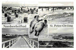 Delcampe - St Peter-Ording Strand Bruecke Zur Sandbank Brandung Seehunde - St. Peter-Ording