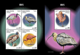 Delcampe - Maldives 2018, Animals, Ibis, 4val In BF+BF - Cigognes & échassiers