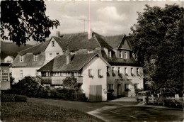 Delcampe - Engelshütt Post Lam - Gasthof Grassl - Cham