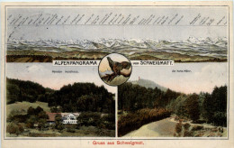 Delcampe - Gruss Aus Schweigmatt - Schopfheim