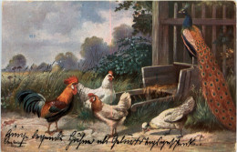 Delcampe - Huhn - Pfau - Künstlerkarte Schönian - Oiseaux