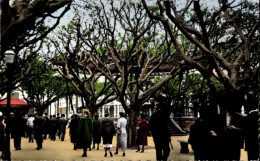 Delcampe - CPA Bone Algeria, Bertagna-Kurs - Sonstige & Ohne Zuordnung