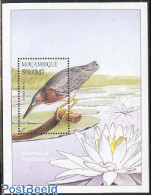 Delcampe - Mozambique 2003 African Birds S/s /Butorides Striatus 1v, Mint NH, Nature - Birds - Mosambik
