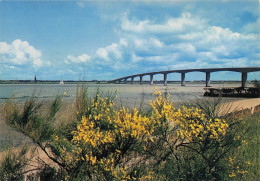 Delcampe - 17 LA TREMBLADE LE PONT DE MARENNES A LA TREMBLADE - La Tremblade