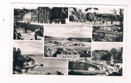 Delcampe - UK-4339  TOBERMORY - Bute