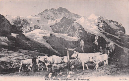 Delcampe - SUISSE BEI R TRANKE - Sonstige & Ohne Zuordnung